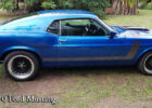 Matt 1970 Mustang