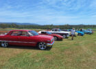 bellmere10