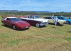 bellmere11
