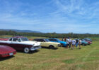 bellmere12